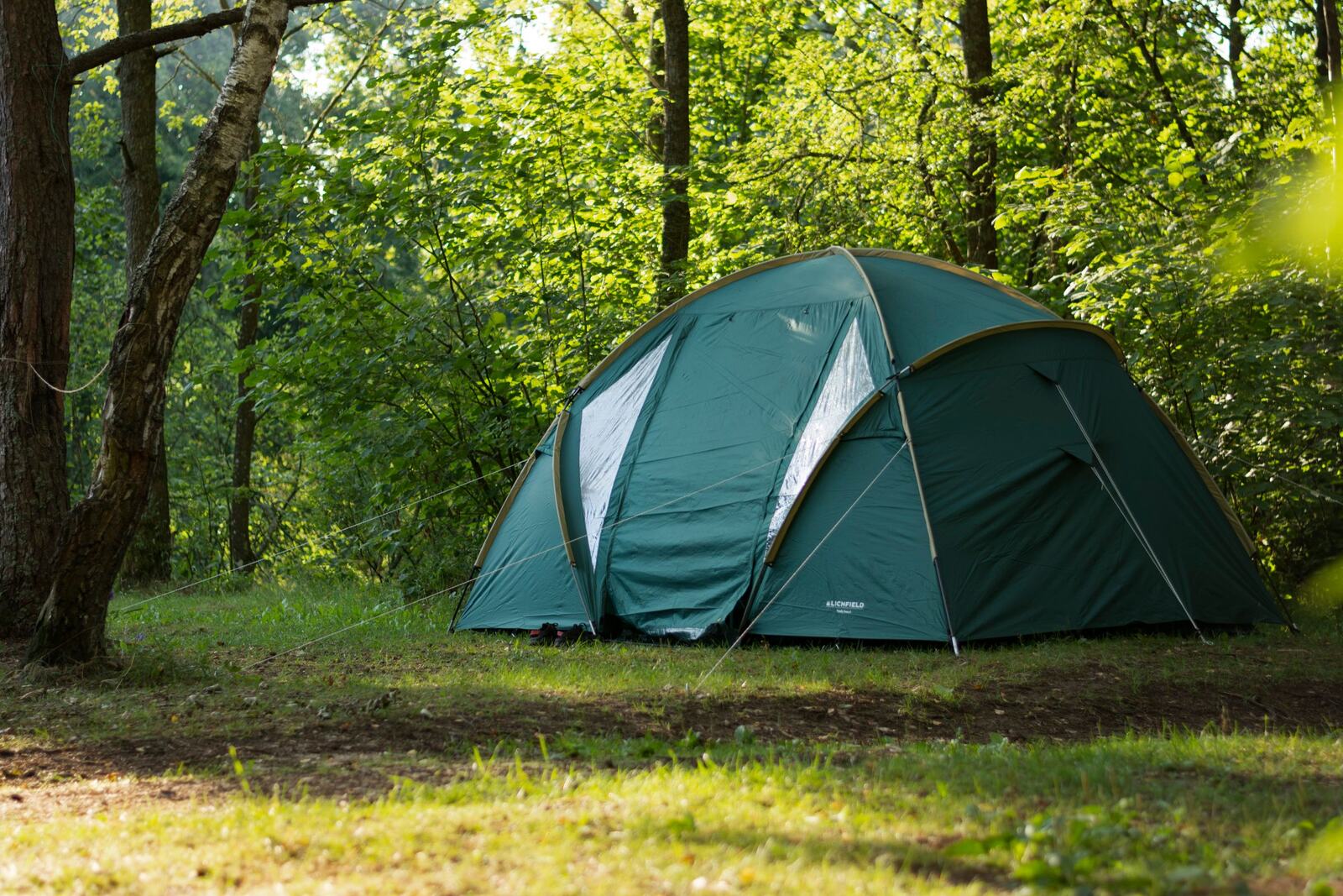 Une tente dans une clairière de forêt